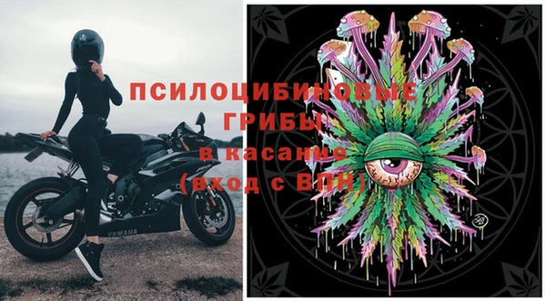 синтетический гашиш Богородицк