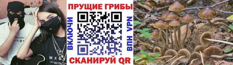 Галлюциногенные грибы MAGIC MUSHROOMS  Гулькевичи 